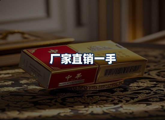 专业团队办公环境